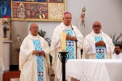Bodas_ouro_padre_elisio_dias (6)