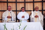 Bodas_ouro_sacerdotais_padre_henrique_varela (8)