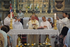 Bodas_ouro_padre_jose_nunes (10)