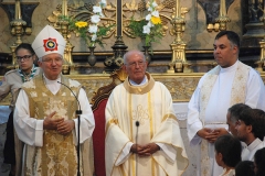 Bodas_ouro_padre_jose_nunes (12)