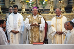 Bodas_ouro_padre_jose_nunes (5)
