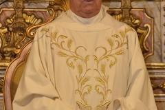 Bodas_ouro_sacerdocio_padre_manuel_coelho-5