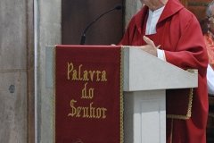 Bodas_ouro_padre_manuel_condeco (11)