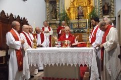 Bodas_ouro_padre_manuel_condeco (12)