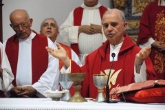 Bodas_ouro_padre_manuel_condeco (13)