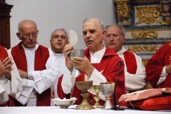 Bodas_ouro_padre_manuel_condeco (14)