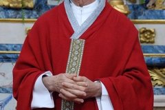 Bodas_ouro_padre_manuel_condeco (6)