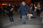 Chegada_imagem_peregrina_n_sra_fatima_algarve (104)