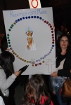 Chegada_imagem_peregrina_n_sra_fatima_algarve (69)