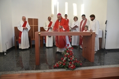 Dedicacao_igreja_rogil (51)