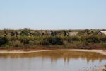 Dia_2_seccao_cne_2014 (10)