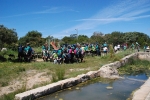 Dia_2_seccao_cne_2014 (13)