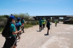 Dia_2_seccao_cne_2014 (14)