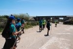 Dia_2_seccao_cne_2014 (14)