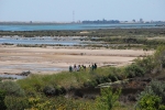 Dia_2_seccao_cne_2014 (28)