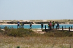 Dia_2_seccao_cne_2014 (29)