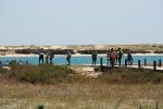 Dia_2_seccao_cne_2014 (29)