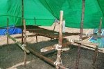 Dia_2_seccao_cne_2014 (3)
