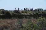 Dia_2_seccao_cne_2014 (7)