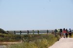 Dia_2_seccao_cne_2014 (8)