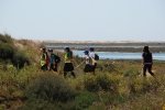Dia_2_seccao_cne_2014 (9)