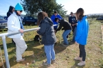 dia_pioneiro_2014-19