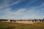 dia_pioneiro_2014-31