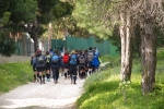Dia_3_seccao_cne_2015 (17)
