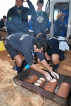 Dia_3_seccao_cne_2015 (25)