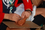 Dia_3_seccao_cne_2015 (63)