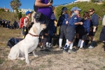 Dia_lobito_2015 (40).JPG