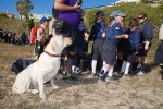 Dia_lobito_2015 (40).JPG