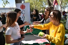 Dia_emrc_2_3_ciclo_2019-59