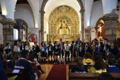 Dia_2_seccao_cne_2018 (28)