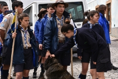 Dia_2_seccao_cne_2018 (3)