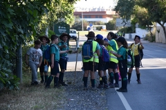 Dia_2_seccao_cne_2019-1