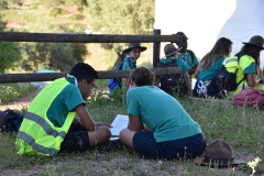Dia_2_seccao_cne_2019-13
