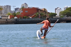 Dia_terceira_secao_cne_2019-11