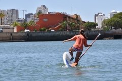 Dia_terceira_secao_cne_2019-11