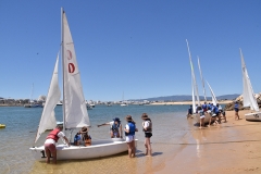 Dia_terceira_secao_cne_2019-13