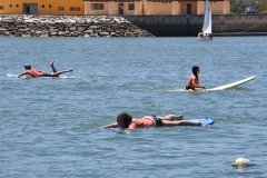 Dia_terceira_secao_cne_2019-19