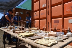 Dia_terceira_secao_cne_2019-2