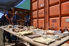 Dia_terceira_secao_cne_2019-2