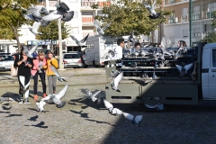 Dia_internacional_pessoa_deficiencia_2018 (11)