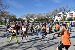 Dia_internacional_pessoa_deficiencia_2018 (18)