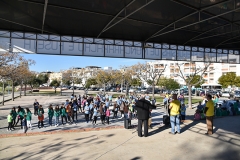 Dia_internacional_pessoa_deficiencia_2018 (8)