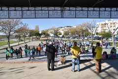 Dia_internacional_pessoa_deficiencia_2018 (9)