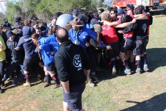 Dia_s_paulo_2018 (11)