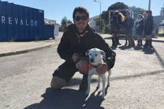 Dia_s_paulo_2018 (3a)