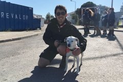 Dia_s_paulo_2018 (3a)